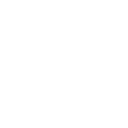 IT park Karakalpakstan